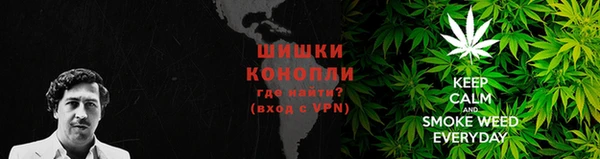 apvp Медногорск