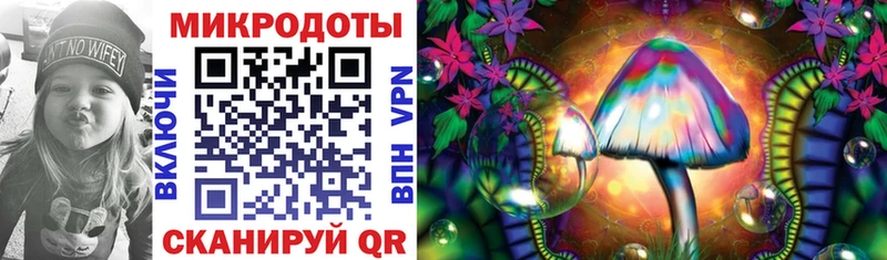Купить  Онега  Псилоцибиновые грибы Psilocybe 