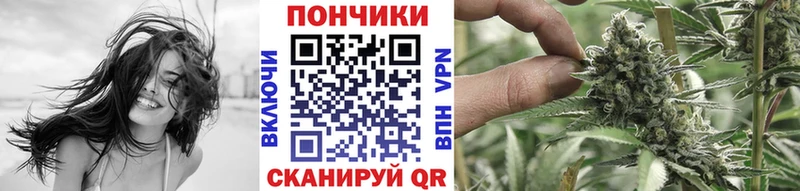 Конопля Bruce Banner  Купить  Онега 